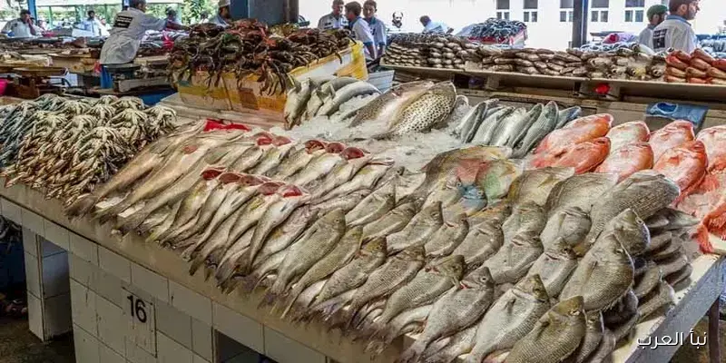 أسعار الأسماك والمأكولات البحرية في سوق العبور اليوم: 83 جنيهًا لكيلو البلطي