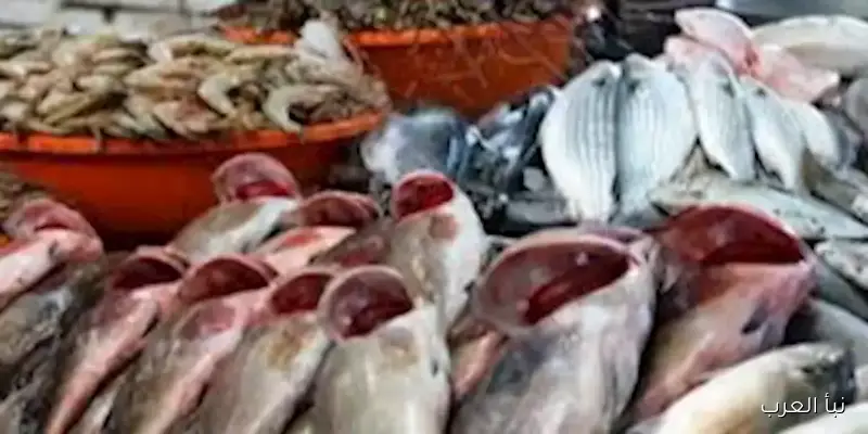 تزايد أسعار الكابوريا.. أسعار الأسماك والمأكولات البحرية في سوق العبور اليوم