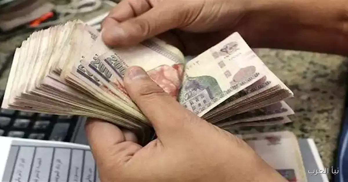 إعلان صرف رواتب شهر أكتوبر للعاملين بالدولة يوم الخميس المقبل