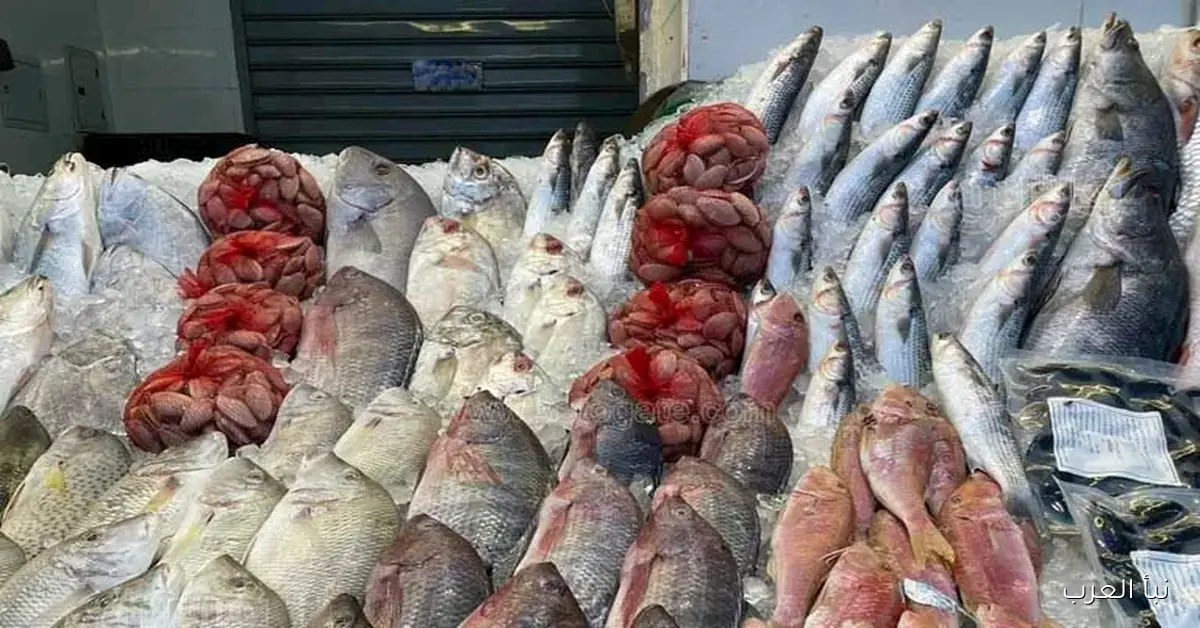 استعراض أسعار الأسماك والمأكولات البحرية في سوق العبور اليوم