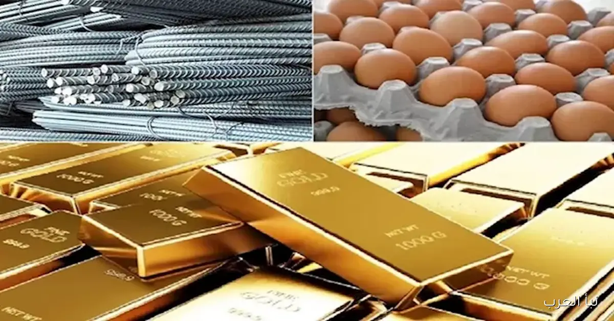 تقرير أسعار اليوم: ارتفاع الزيت والسكر وانخفاض الدواجن