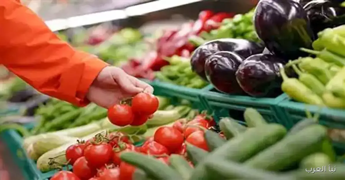 توقعات “عربية أون لاين”: معدلات التضخم قد تتراوح بين 14% و16% خلال 2025