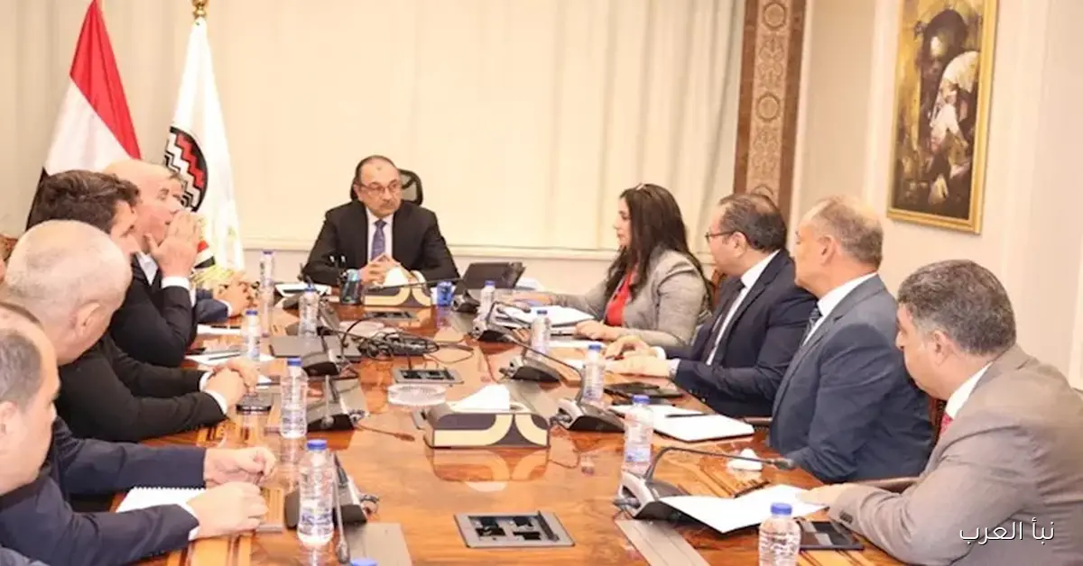 وزير قطاع الأعمال يناقش مع مجموعة إروجلو العالمية سبل تشغيل مصانع النسيج